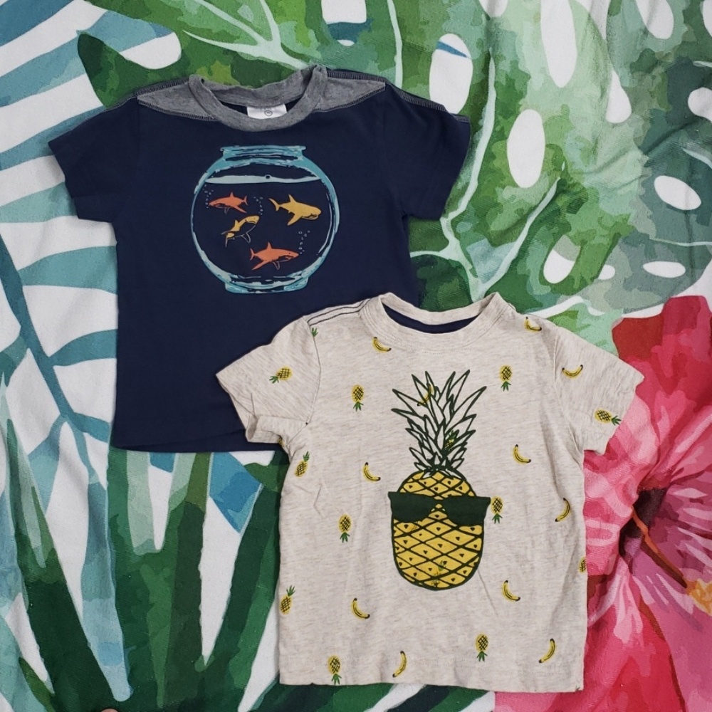 Three cute Hanna Andersson summer tees!